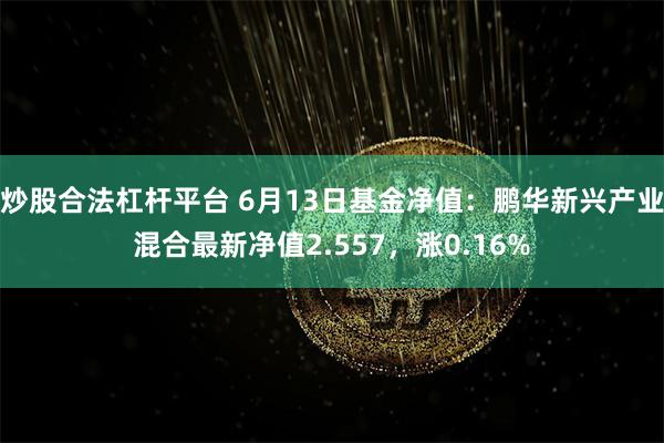 炒股合法杠杆平台 6月13日基金净值：鹏华新兴产业混合最新净值2.557，涨0.16%