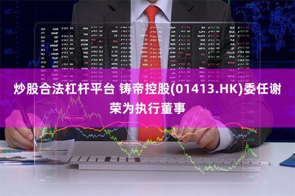 炒股合法杠杆平台 铸帝控股(01413.HK)委任谢荣为执行董事