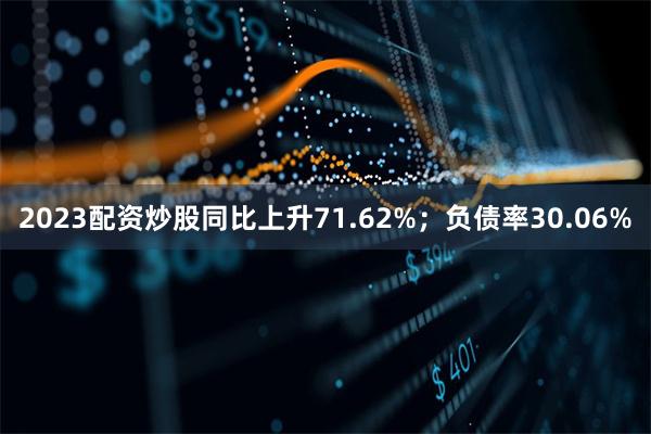 2023配资炒股同比上升71.62%;负债率30.06%